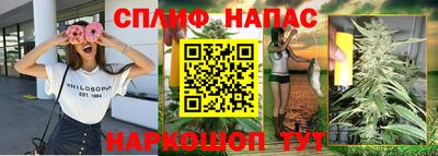 spice Обь