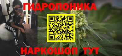 spice Обь