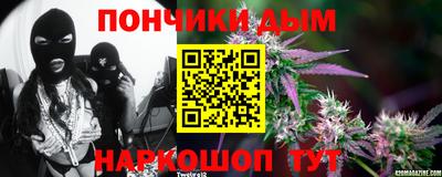 spice Обь