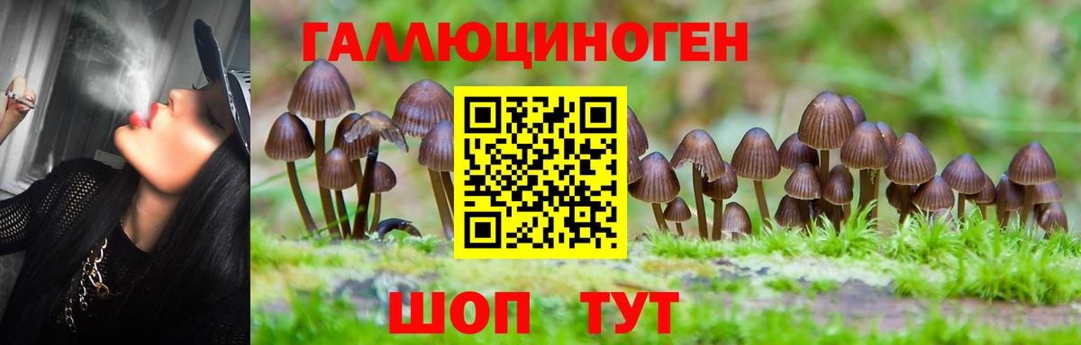 Советская Гавань  Псилоцибиновые грибы MAGIC MUSHROOMS  Вход с VPN 